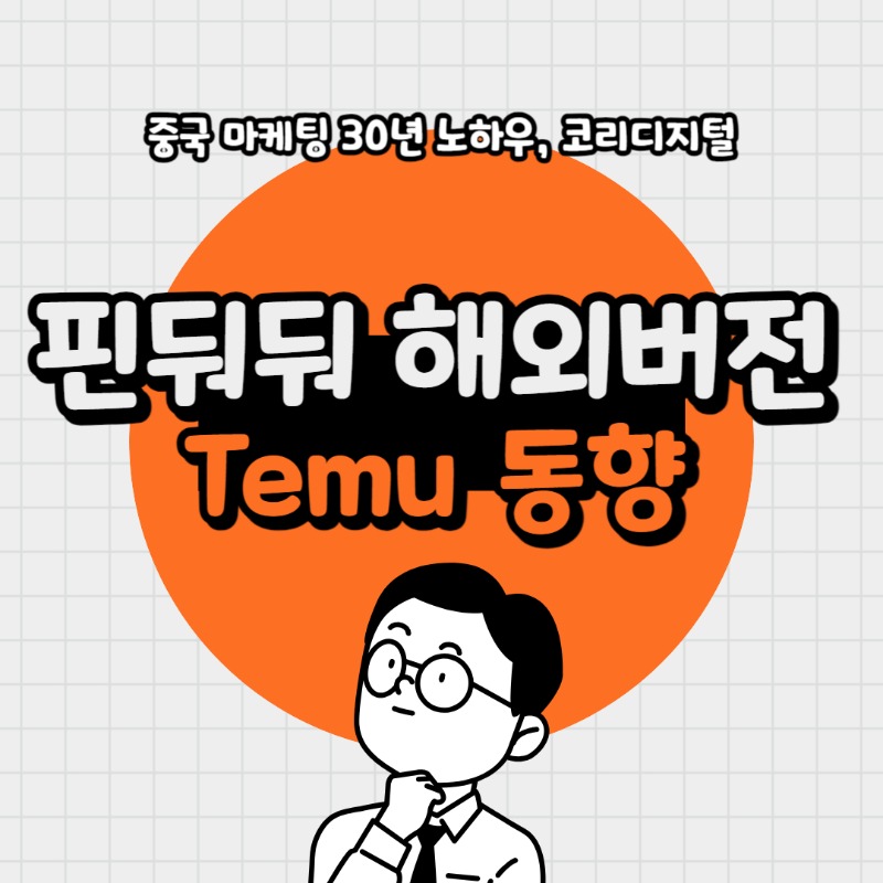 20240228 temu.jpg