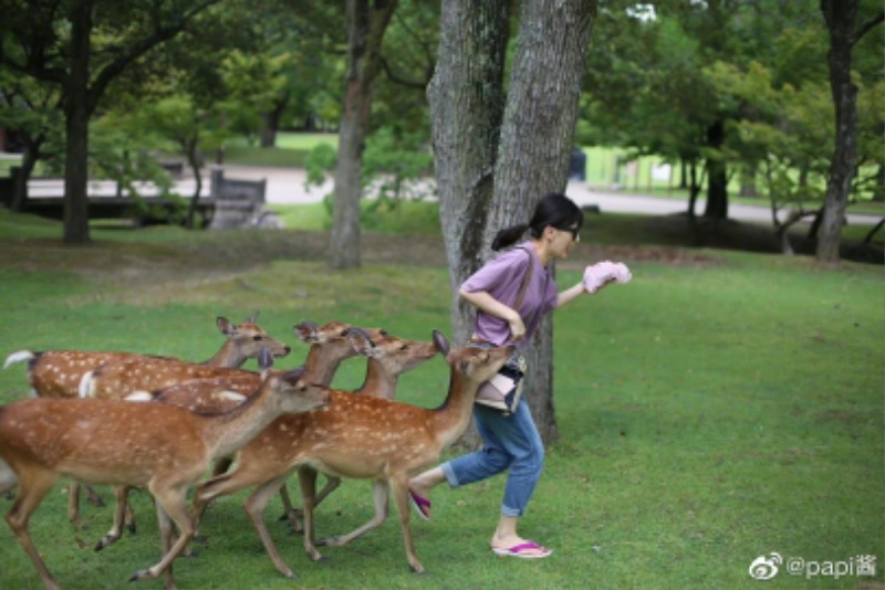 왕홍8.jpg