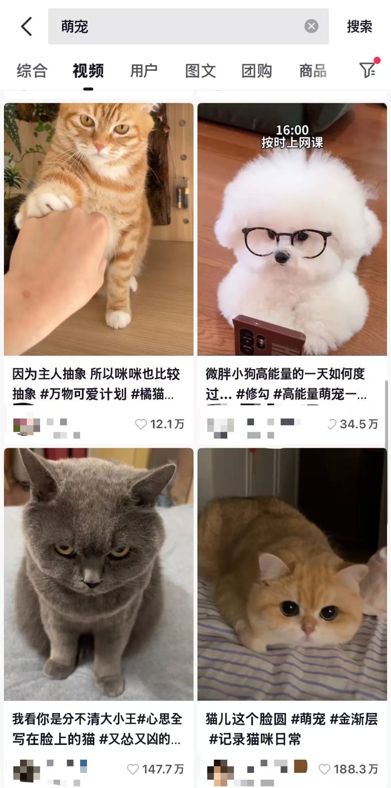 萌宠.jpg