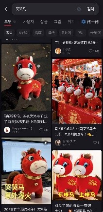 小红书 哭哭马.jpg