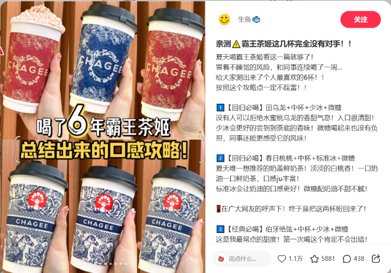 차지 샤오홍슈.png