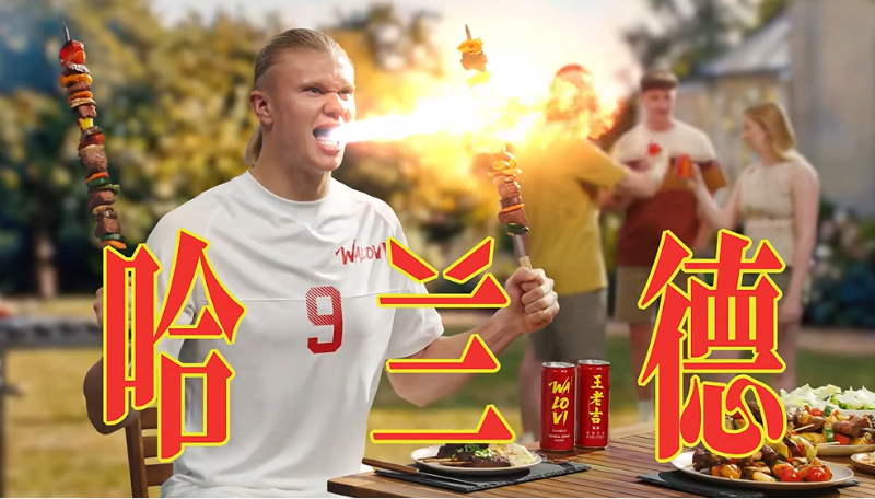 哈兰德(홀란드).png